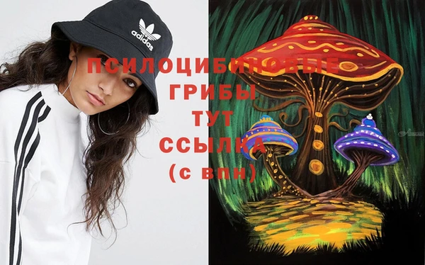 PSILOCYBIN Елизово