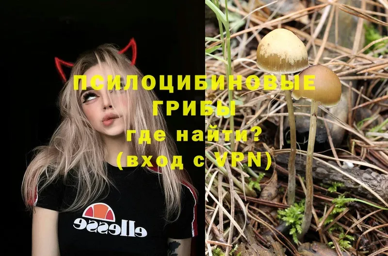 omg ССЫЛКА  Кинель  Галлюциногенные грибы Magic Shrooms 